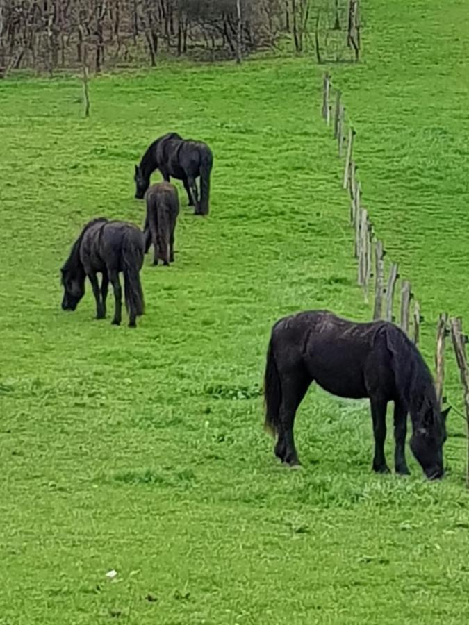 Domaine Du Pompinaud Accessible Pmr Bed & Breakfast Yvrac-et-Malleyrand Luaran gambar